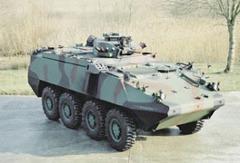 “锯脂鲤”装甲车悬挂系统与武器配备(组图)