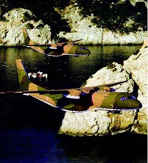 EADSCASA与CAE建立C-295项目战略合作联盟(图)