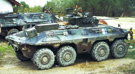 图文：在波斯尼亚执行维和任务的山猫