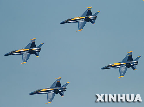 美国海军“蓝色天使”飞行编队精彩表演(5)