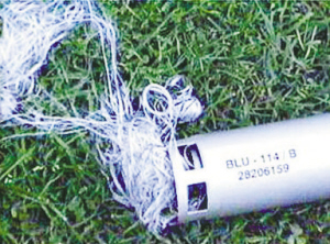 美军计划投入千亿美元研制非致命武器(图)