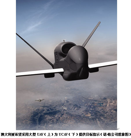 澳大利亚规划以网络为中心的UAV作战(图)