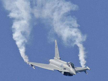 台风战机将首次试飞有源电子扫描阵列雷达(图)