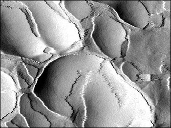 美国研究人员受蜗牛壳启发研发新型防弹衣(图)
