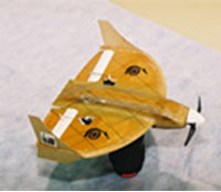 加拿大公司开发微型无人机先进核心技术(图)