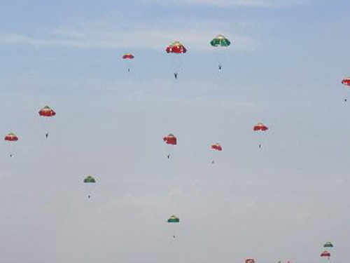 568_200607311330208576900.gif