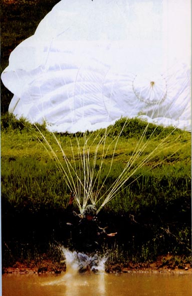 568_2006073113302013488400.gif