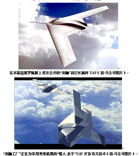 洛·马透露其侦察型与攻击型无人机项目(图)
